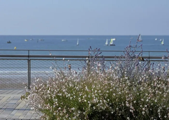 Vakantiehuis Maison De Pecheur Avec Cour Privative, 300m De La Plage, Pres Des Commerces Et Du Marche - Fr-1-92-663 Les Sables-dʼOlonne